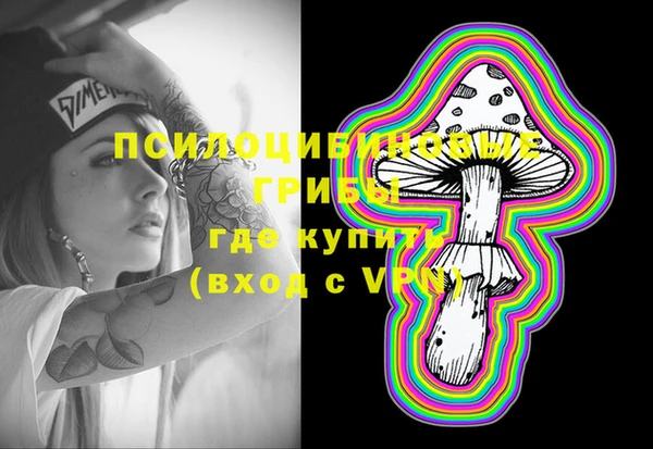 стафф Богородск