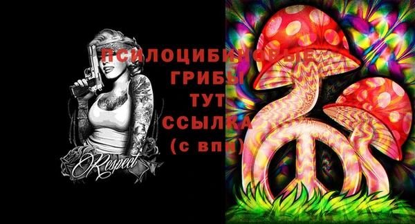стафф Богородск