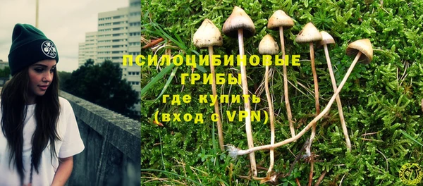 мдма Богданович