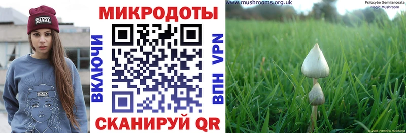 mega ТОР  как найти закладки  Нурлат  Псилоцибиновые грибы GOLDEN TEACHER 